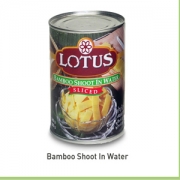 Bamboo Shoot in Water, Thailand Canned Food